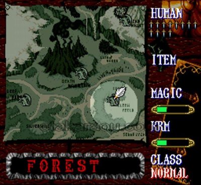 ドラゴンズ・アース スーパーファミコンソフト カセットのみ (端子清掃