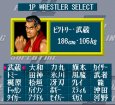 スーファミソフト スーパーファイヤープロレスリング2