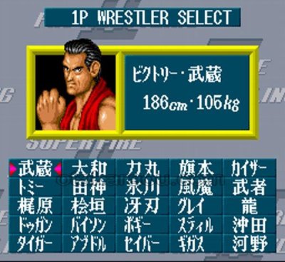 スーパーファイヤープロレスリング2 スーパーファミコンソフト