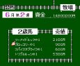 famicom rom ダービースタリオン 全国版