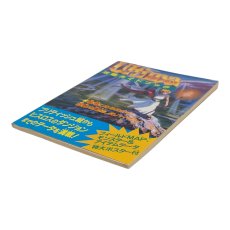 ウルティマ 聖者への道 攻略ガイドブック