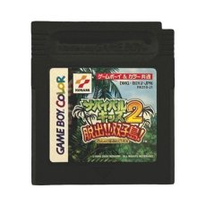 ゲームボーイカラーソフト 名作 サバイバルキッズ2 脱出!!双子島!