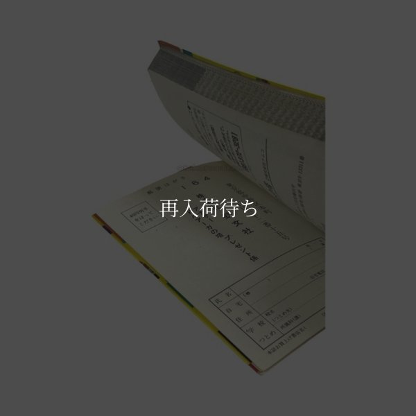 アナザー ドルアーガの塔　-2 ファミコン / 攻略本 商品写真 / Tower of Druaga Famicom Guide Strategy Guide Photo