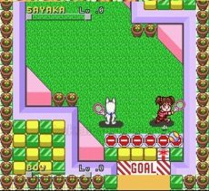 スーパーファミコン 電池交換 サービス 平成イヌ物語バウ ポップンスマッシュ