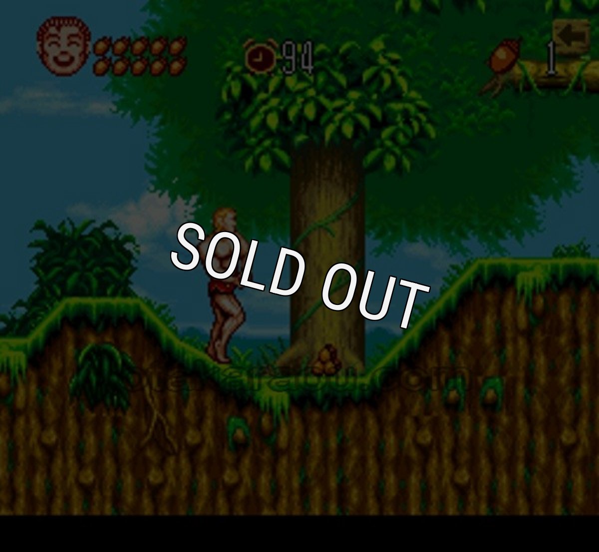 スーファミソフト ジャングルの王者ターちゃん