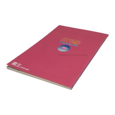 ガイア幻想紀 パーフェクトガイドブック スーパーファミコン攻略本 / 攻略本 商品写真 / Illusion of Gaia Super Famicom Guide Strategy Guide Photo