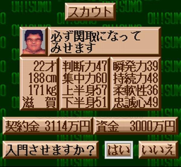 スーパーファミコンソフト電池交換横綱物語