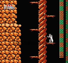 ファミコン販売 ホーリー・ダイヴァー