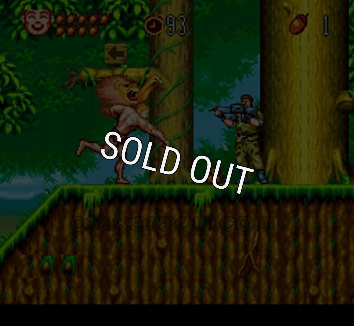 SFCソフトジャングルの王者ターちゃん