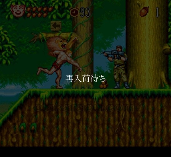 SFCソフトジャングルの王者ターちゃん