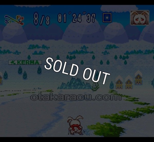 人気スーファミソフト わくわくスキーわんだぁシュプール