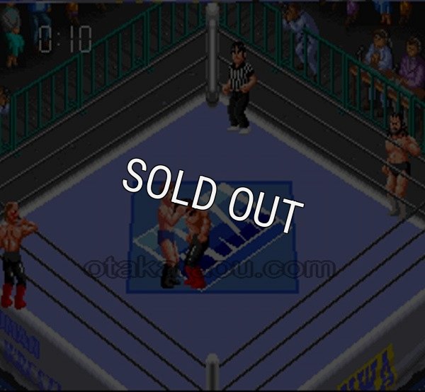 SFCソフトスーパーファイヤープロレスリングIII ファイナルバウト
