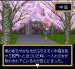できたてハイスクール スーパーファミコンソフト / 起動確認済み プレイ画面 / Dekitate High School Super Famicom Game Gameplay Screenshot