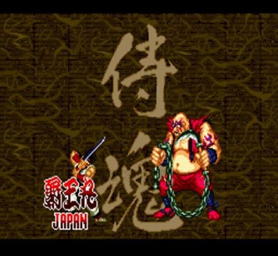 サムライスピリッツ スーパーファミコンソフト カセットのみ (端子清掃