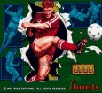 SFC ROM ワールドサッカー