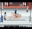 SFCソフトJWP女子プロレス