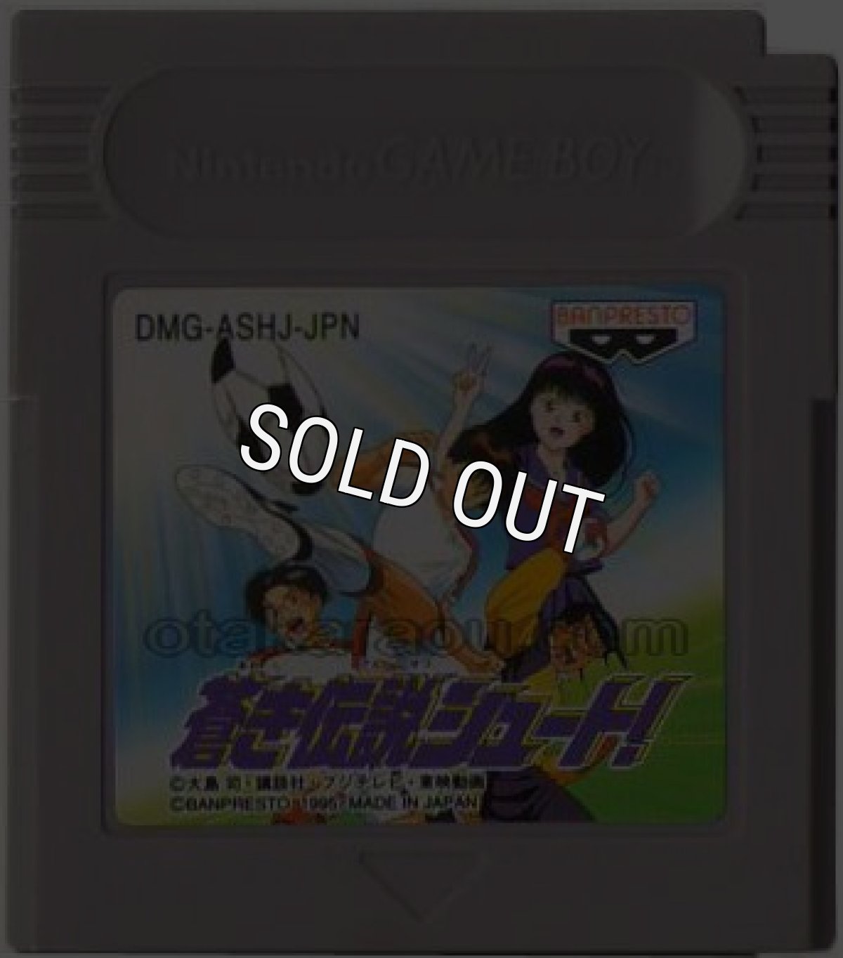 ゲームボーイソフト 蒼き伝説シュート!