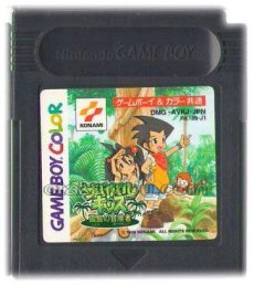 ゲームボーイカラーソフト 名作 サバイバルキッズ 孤島の冒険者