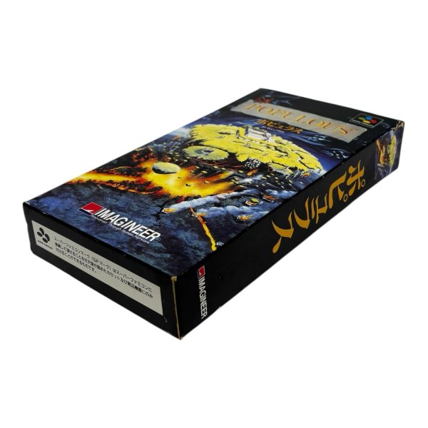 画像1: ポピュラス　-2 (1)