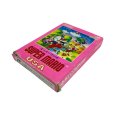 画像1: スーパーマリオUSA (1)