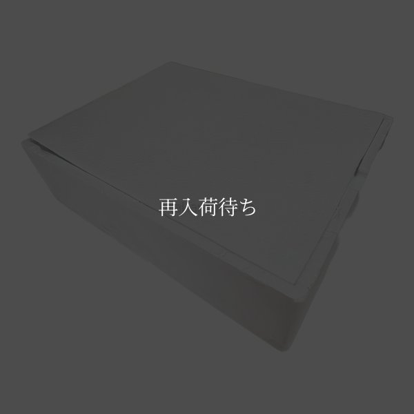 スーパーファミコン本体　-10 【スーパーファミコン】 / 動作確認済み 外装清掃済み / スーパーファミコンConsole System for SNES (Super Famicom) - Tested & Cleaned