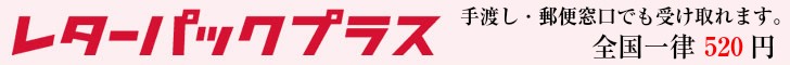 レターパックファミコン