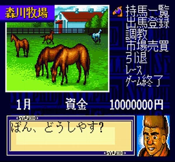 スーパーファミコンソフト スーパー競走馬 風のシルフィールド